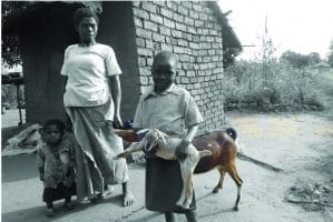 Project #13: Goat Project for HIV/AIDS Patients in Malawi